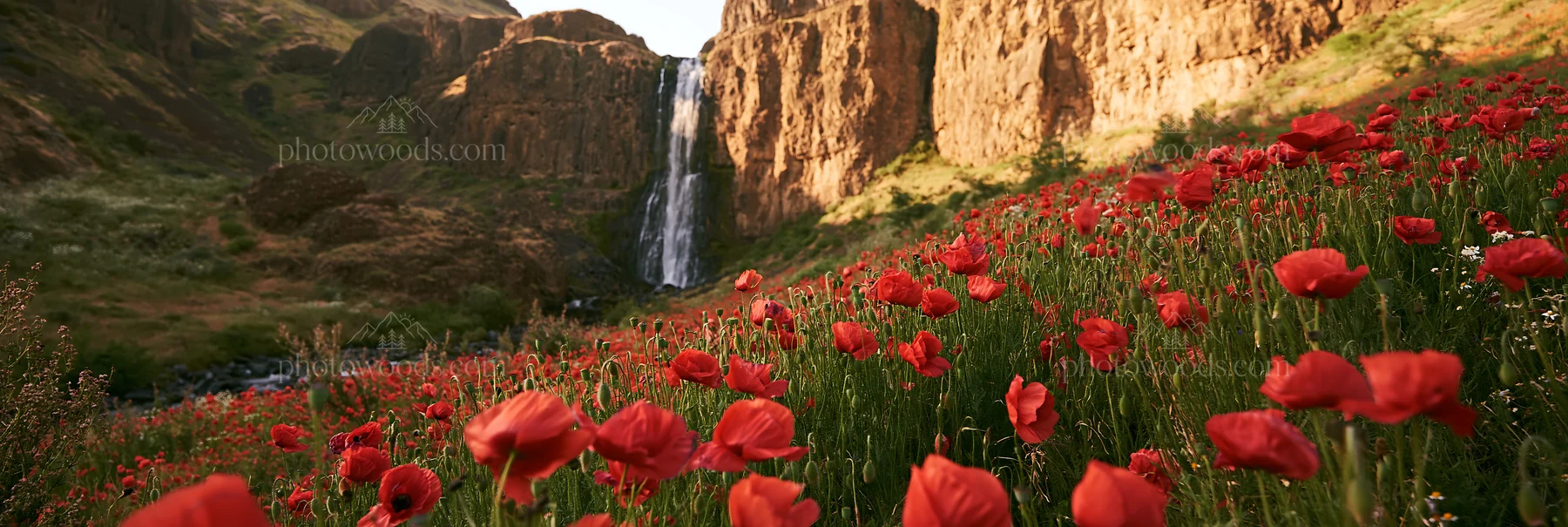 Wildflower meadow with waterfall in summer landscape - AI-generated stock image