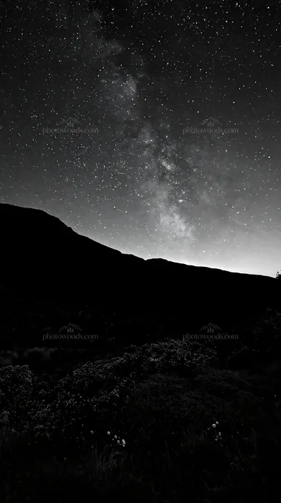 Star-filled night sky over a meadow and mountains - AI-generated stock image