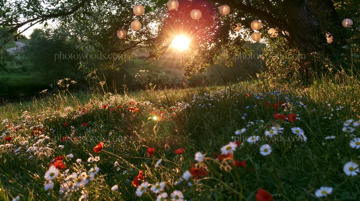 Christmas lanterns hang above stream in meadow - AI-generated stock image