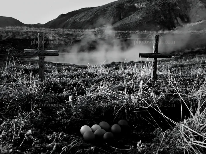 Christian crosses in geothermal spring meadow with eggs - AI-generated stock image