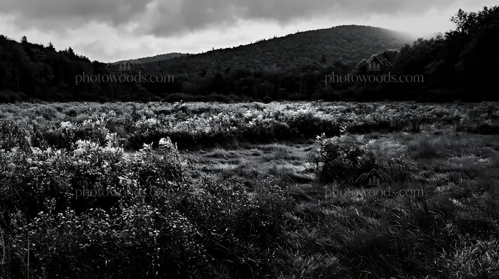 Autumn meadow with wildflowers and hills in the background - AI-generated stock image