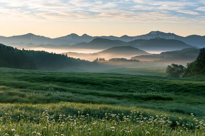 Miyazaki sunrise over meadow with dew covered sedges - AI-generated stock image