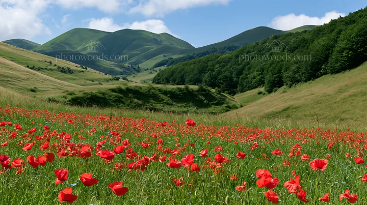 Poppy flax meadow under blue sky with green hills - AI-generated stock image