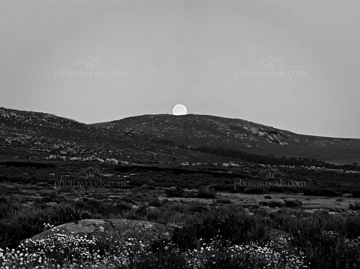 Moonrise over meadow with hills in the background - AI-generated stock image