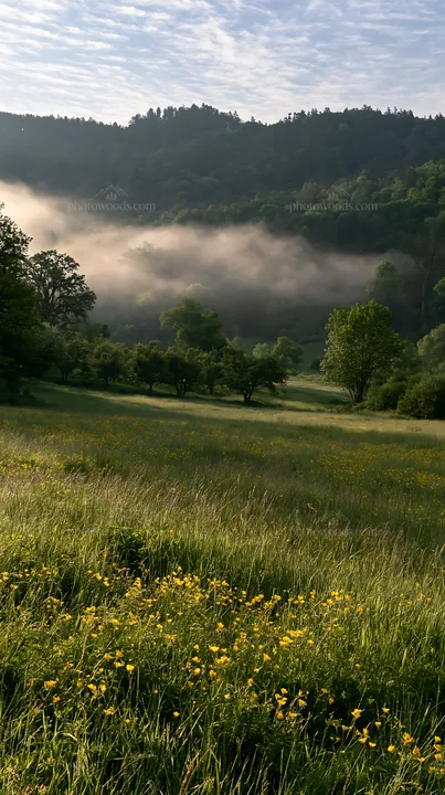 Valley apple meadow with trees and foggy background - AI-generated stock image