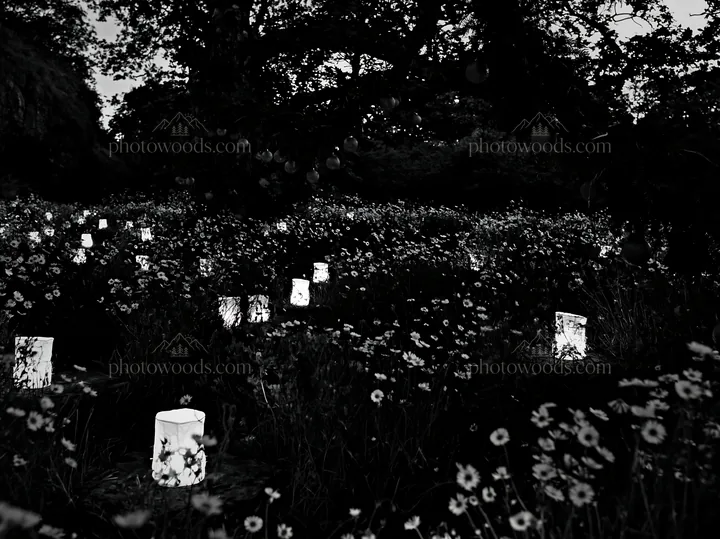 Christmas lanterns glowing in meadow by cave at dusk - AI-generated stock image