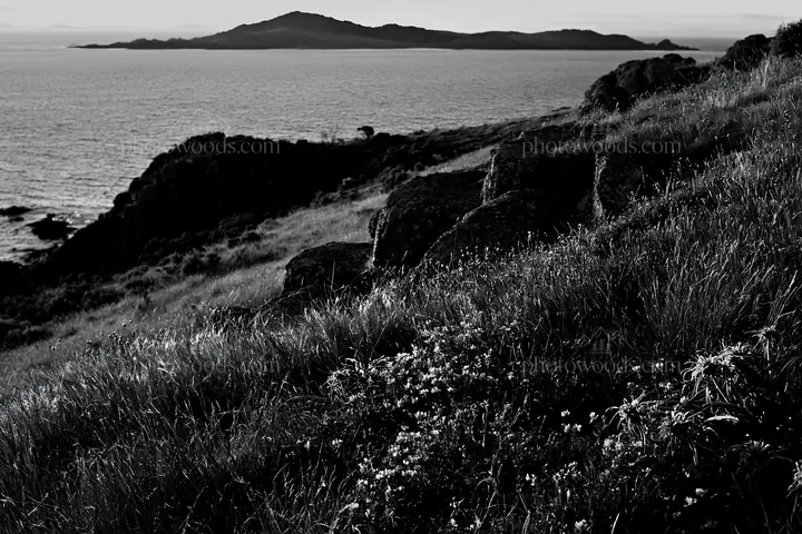 Coastal meadow with rocks and hills near the sea at sunset - AI-generated stock image