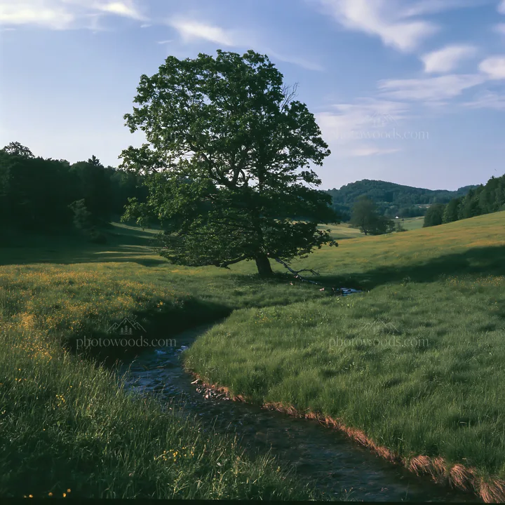 High contrast meadow with natural watercourse and tree - AI-generated stock image