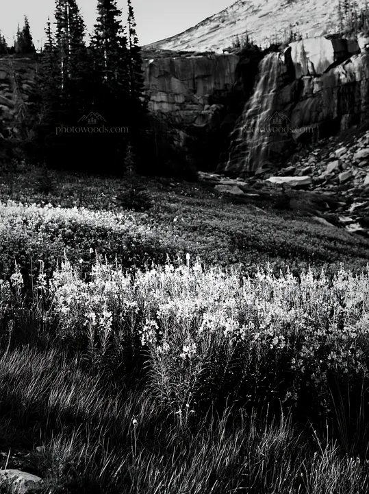 Flower meadow below a cascade in a mountain landscape - AI-generated stock image